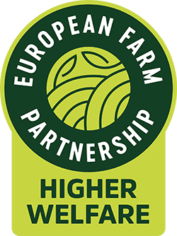 EFP Higher Welfare